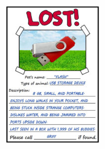 USB-MissingPet1